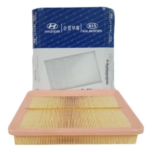 Filtro Aire Motor Elantra / Cerato 1.6/2.0 Original Rp