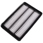 Filtro Aire Para Hyundai Santa Fe 2.2d/2.7 2006-2010