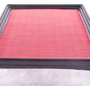 Filtro Aire Para Kia Sportage Ii 2.0 Rf 2003-2004